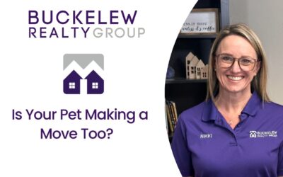 [video] Is Your Pet Making a Move Too?